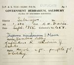 Duosperma quadrangulare