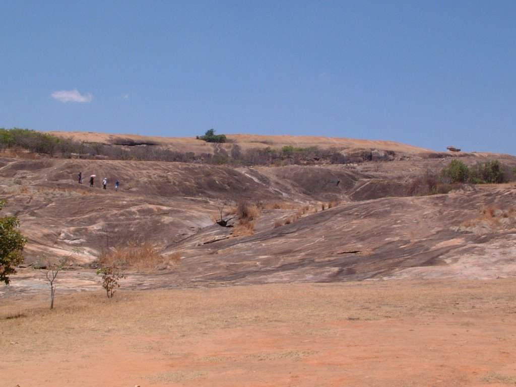 View from the base of Domboshawa hill near the Interpretative Centre looking towards the summit.  The "whale rock" is on the right. There is a patch of trees and other woody vegetation near the top just to the left of centre.