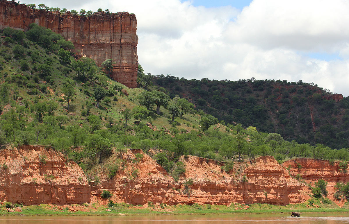 Elephant crossing Runde River below Chilojo Cliffs 