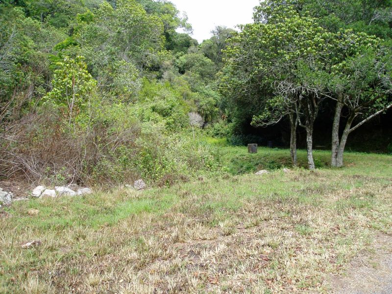 View of other side of road and the lay-by itself.