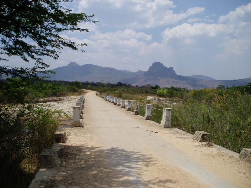 View from the southern end of the bridge looking north. Bart's car is faintly visible just past the bridge on the right. The peak on the right is Mt Masendwa which is 4.5 kms away and 1560 m high. The peak on the left is Mt Jena, 6.5 kms away and 1760 m high.Most of the plants found were either in the river bed on the left or in the dry open area on the other side of the road nr the car. Further collecting was done 100 - 200 m on the far side of the river on the left.
