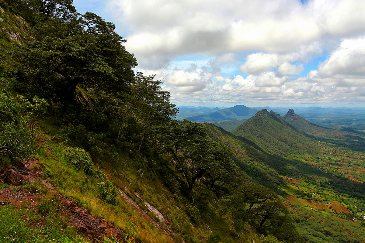 View along the ridge.