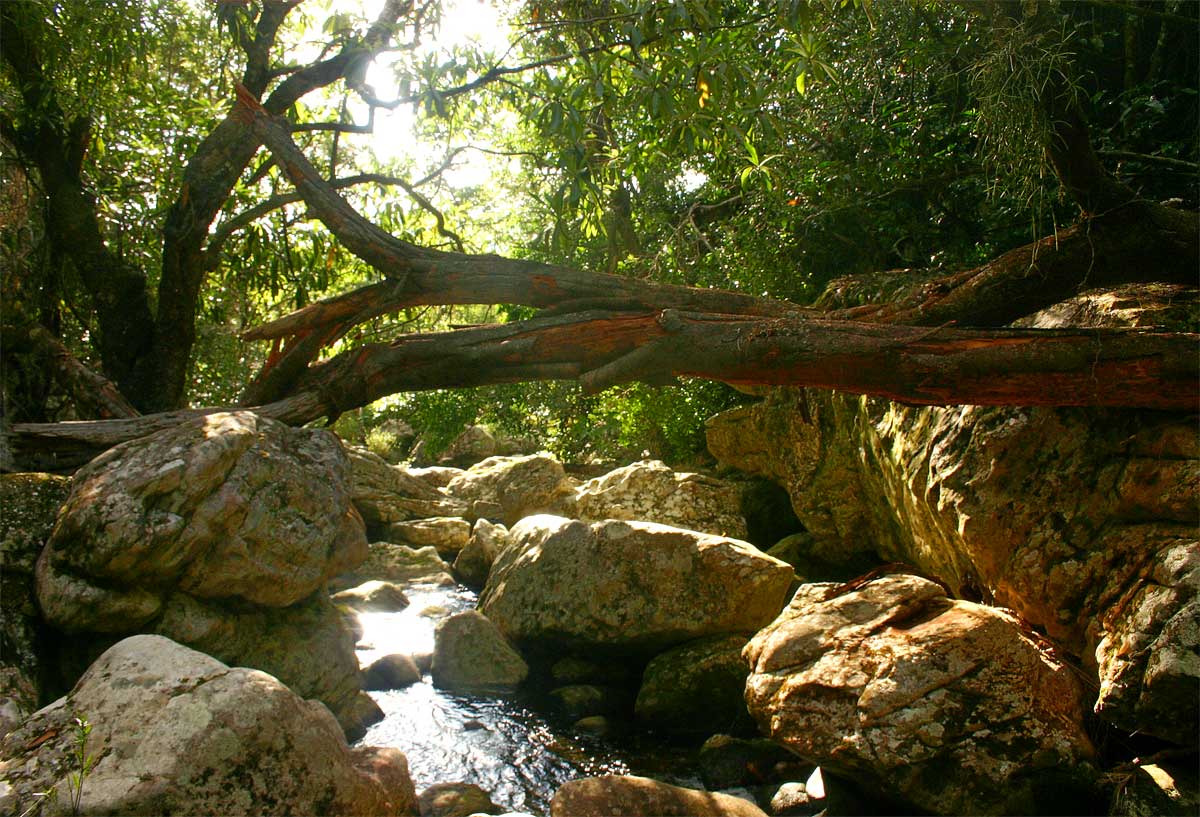 Stream below Tessa's Pool