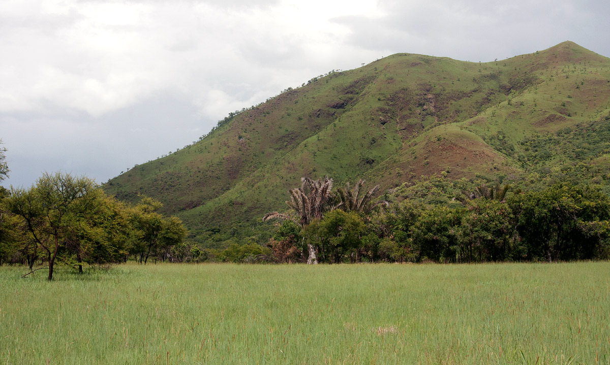 Tingwa Raphia Palm Botanical Reserve.