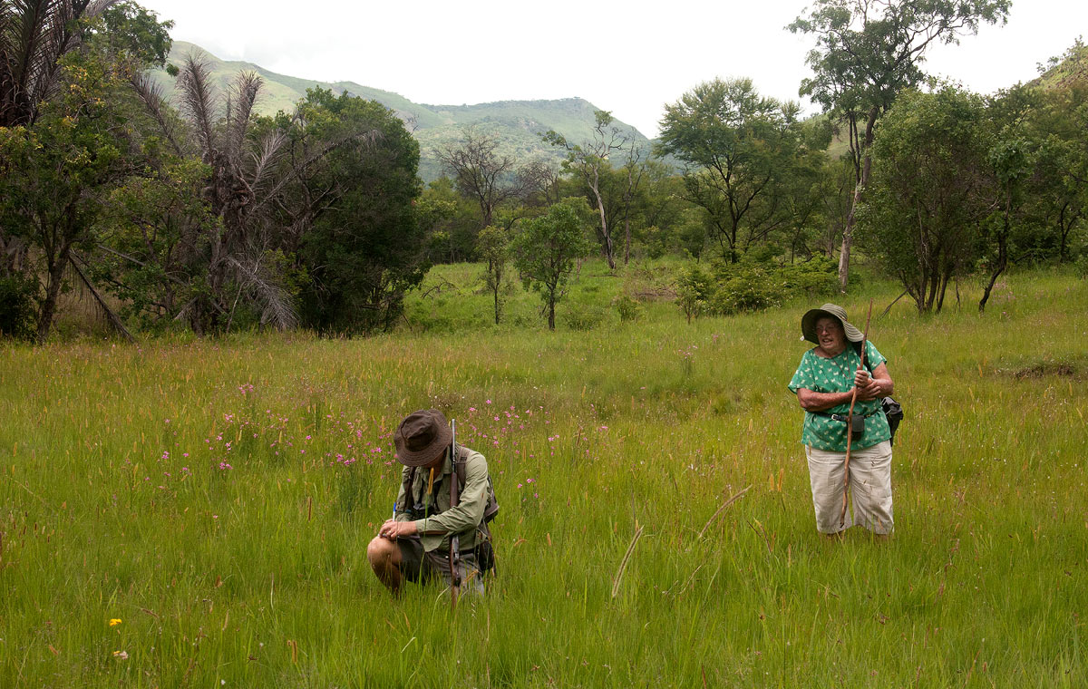 "Do take notes as I will say this only once". Meg and James Varden at Tingwa Palm Botanical Reserve