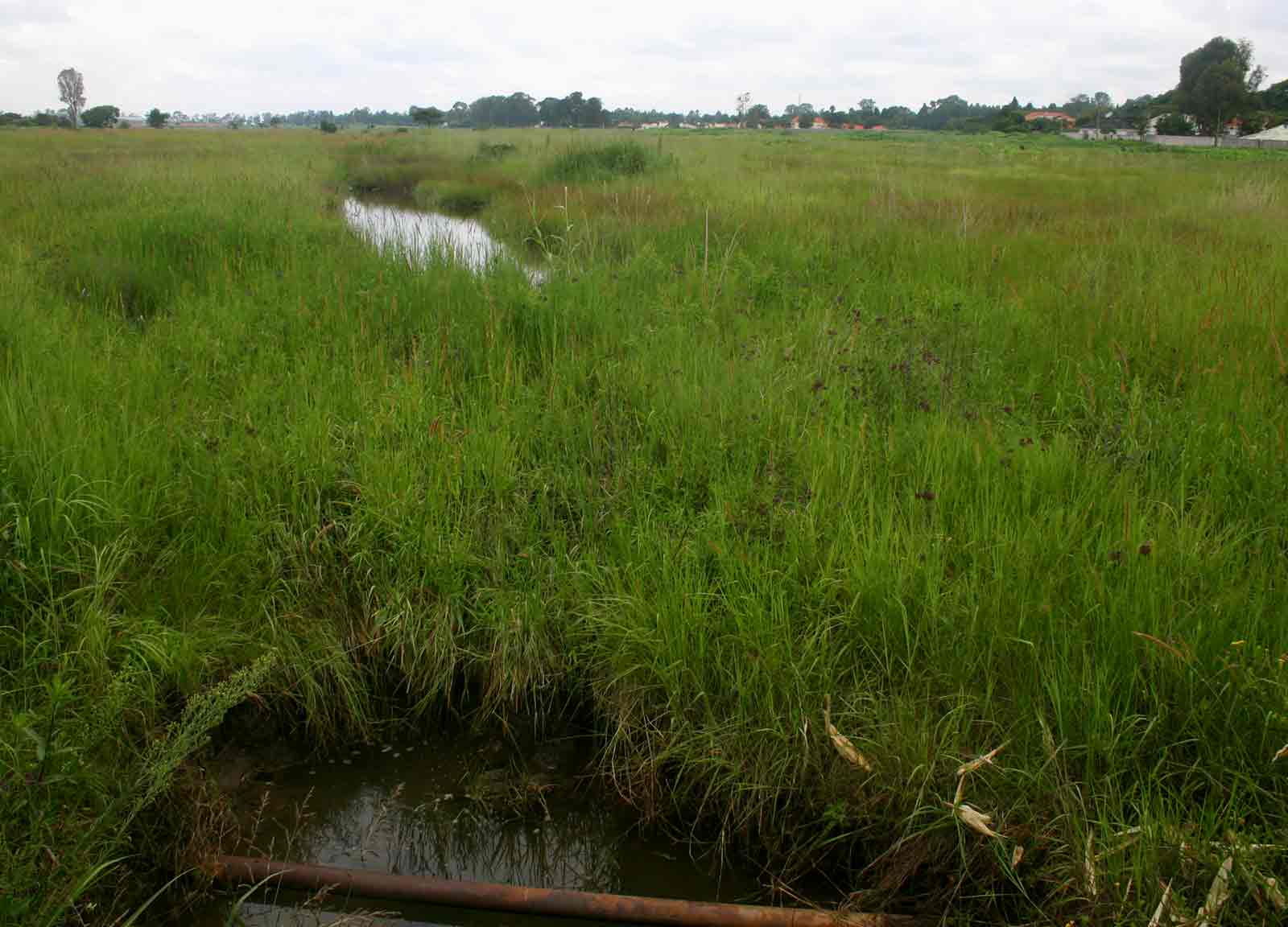 View along the central drainage channel from the Borrowdale Common Bridge
