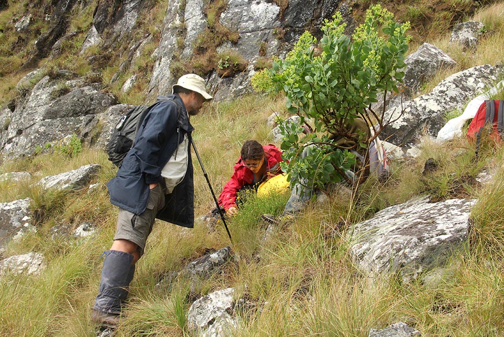 Jonathan and Jeneen. 