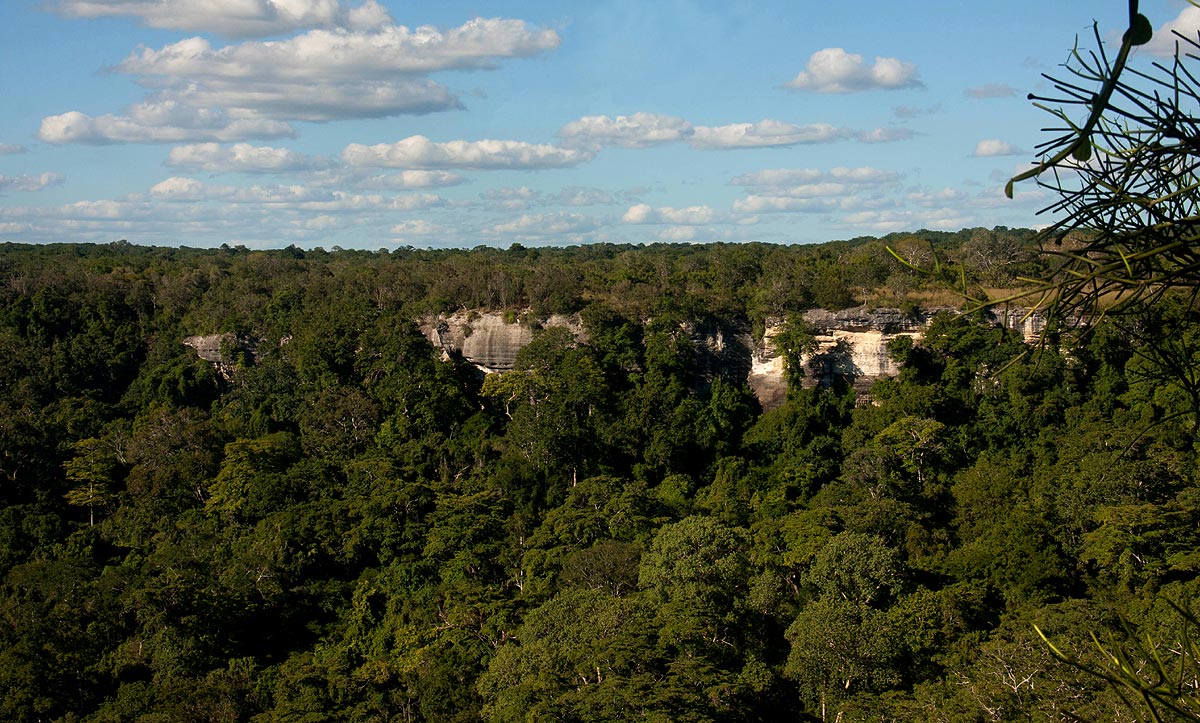 Rim of the Nhagutua limestone gorge, the first site of the survey.