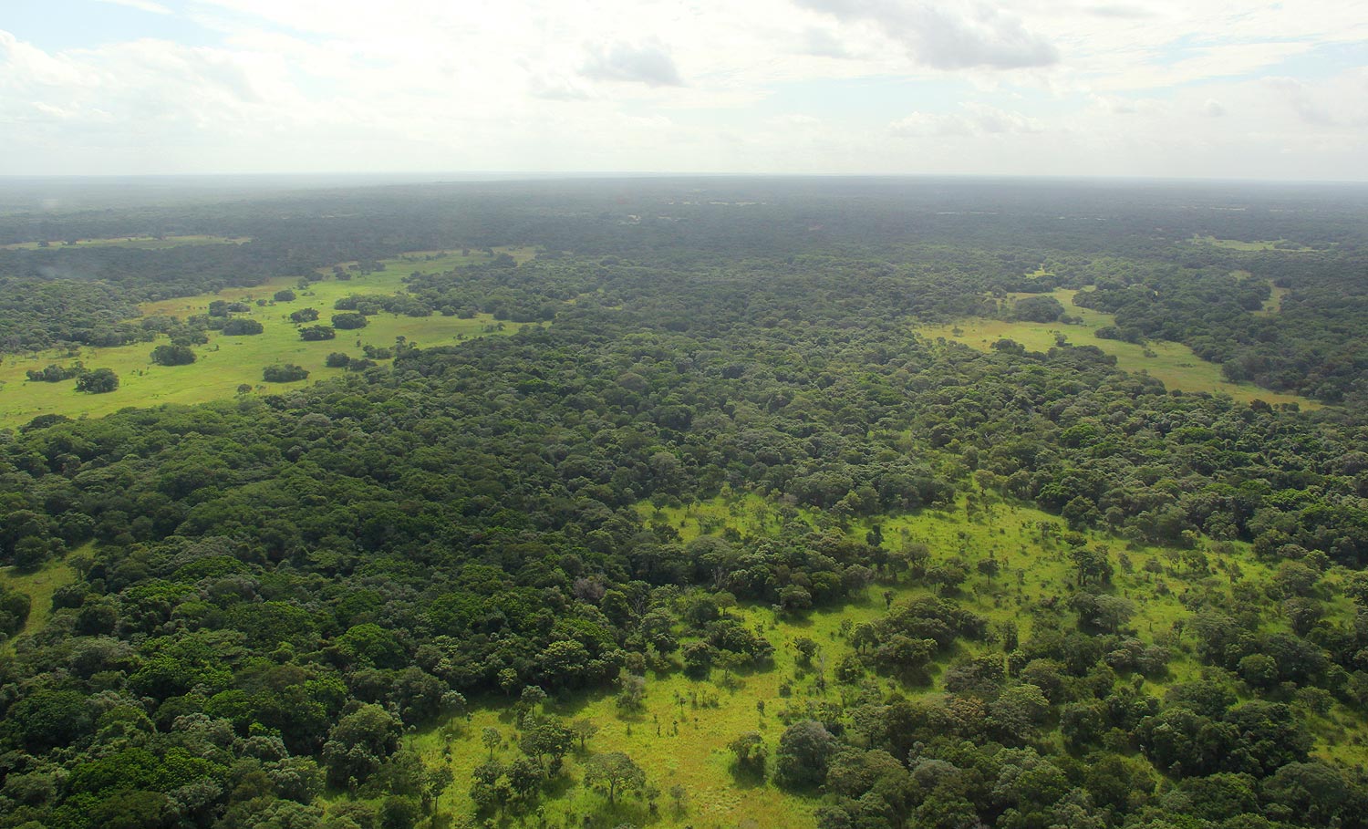 The vegetation mosaic of Coutada 12.