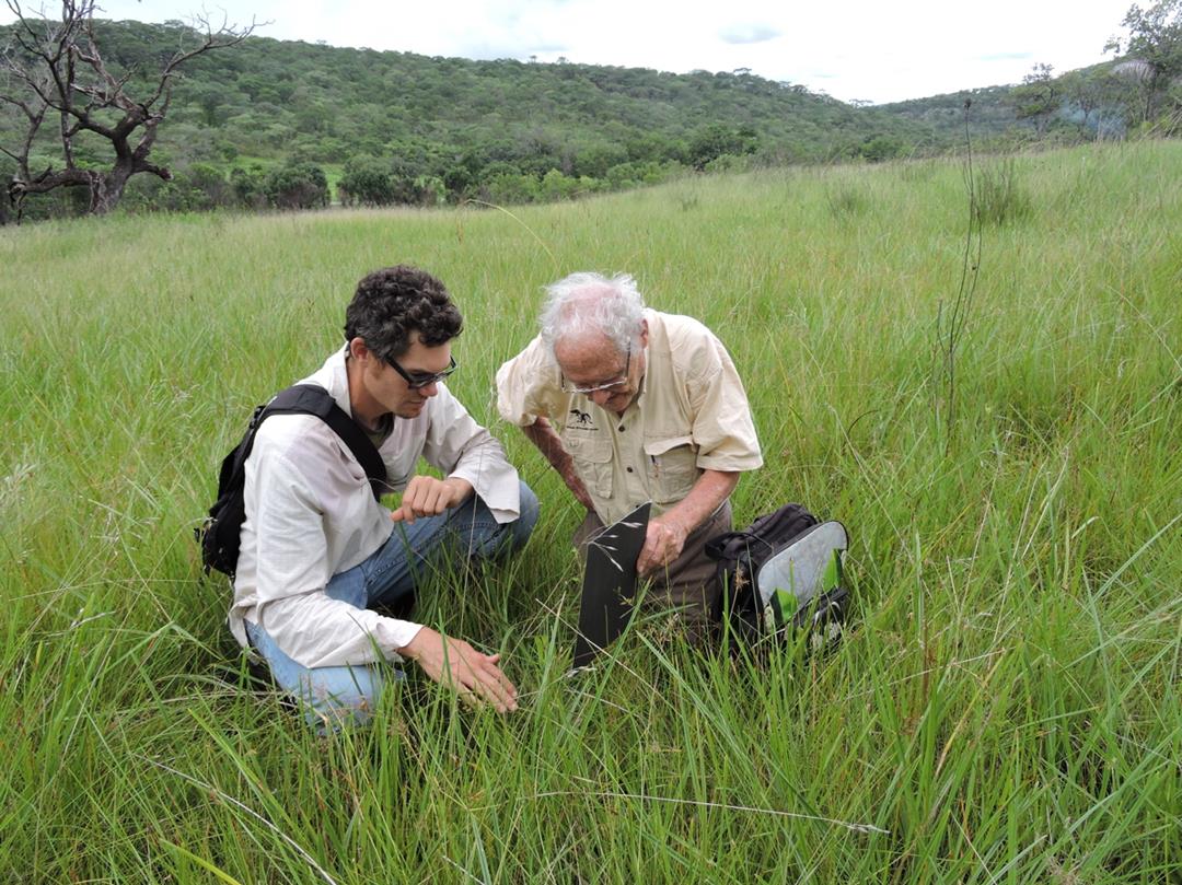 Nick and Mike at 80 mile dambo. Habitat: perennial wet dambo. Location: 80 mile dambo/Chakwenga Headwaters, Rufunsa District, Lusaka Province
