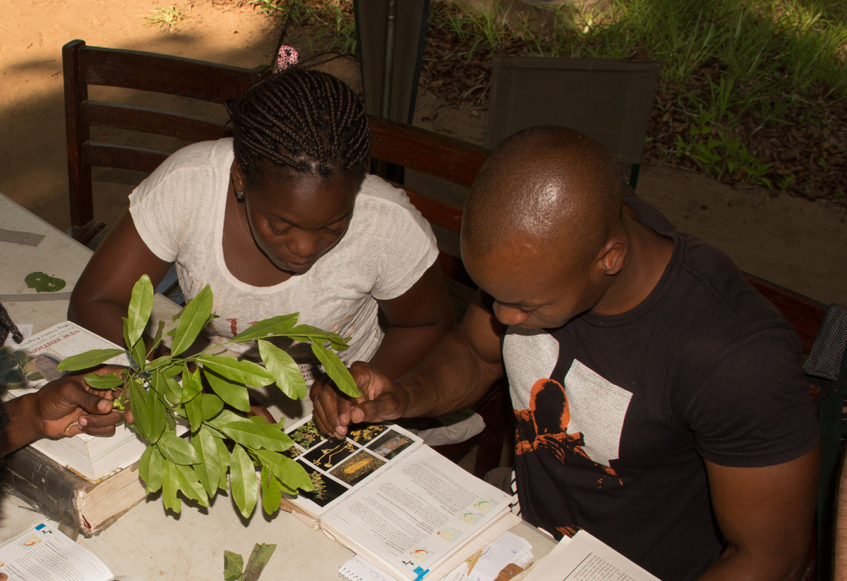 Celina and Antonio working out the identification keys.