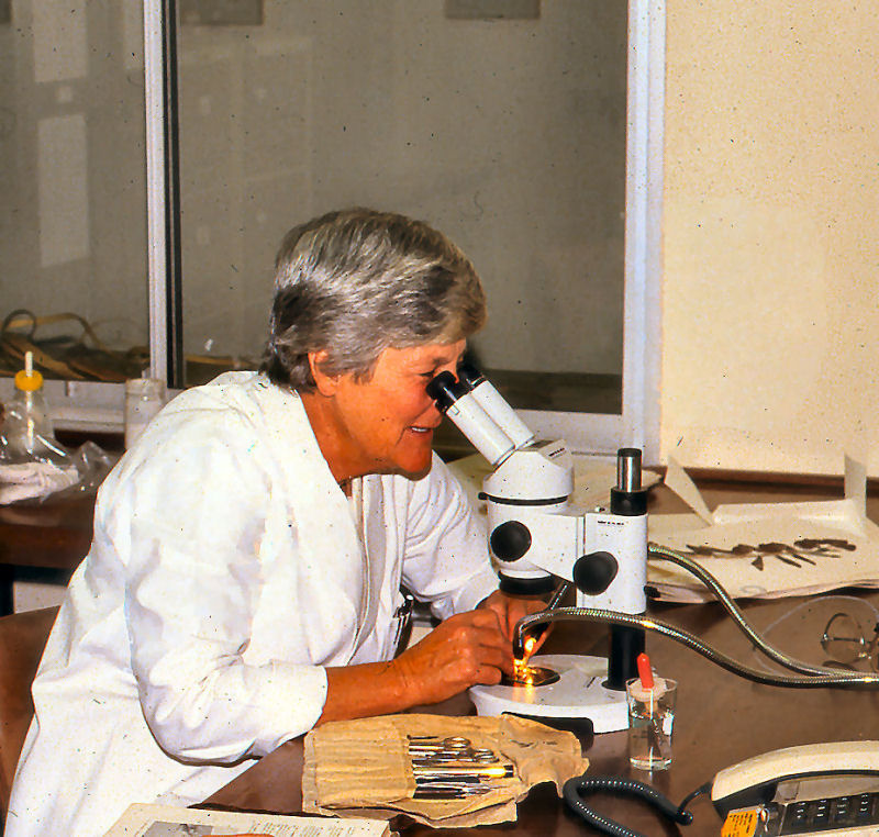 Dr Jane Browning at work