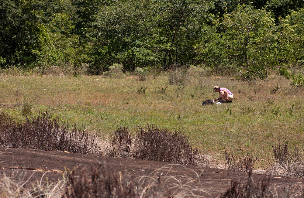 Petra "ophioglossing" at like Mutirikwe